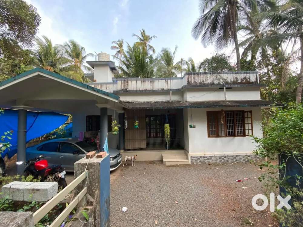 38 cent and house for sale near mahe bypass
