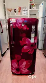 LG 215 L 3Star Direct Cool Single Door Refrigerato Free Delivery Stand