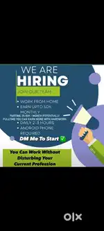 Work from home for students,housewife and job person