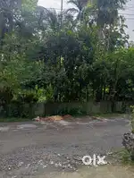 Ghughumari near patir bazar , near Bandhan Bank