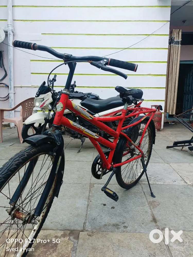 Sunflower cycle gladiator