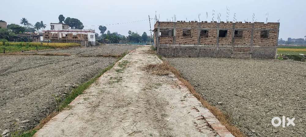 Muktaour relways station se pichhe 300 MTR