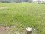 4 cents land