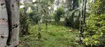 Palikkara vempilli 15 cent 2 BHK old house for sale