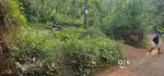 8 cent land for sale in cherkulam