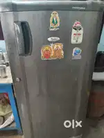 Whirpool frizzz