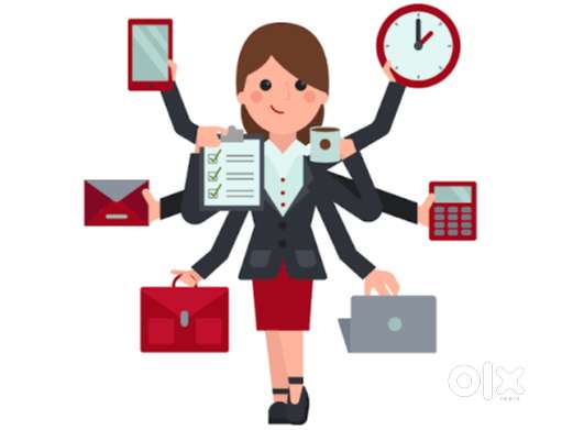 Office assistant (Personal assistant)