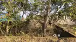 LAND FOR LEASE OR RENT IN KANKE