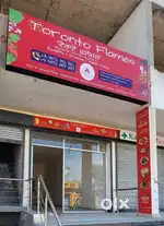Experienced Chef cook
