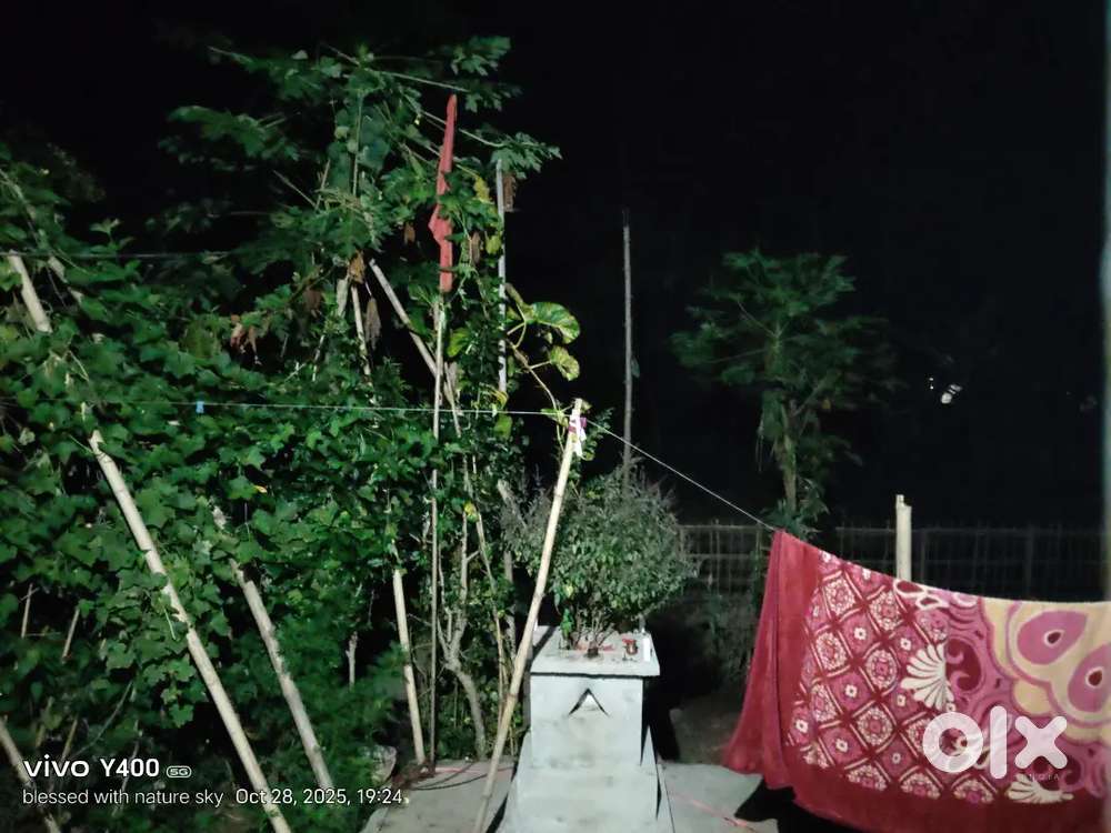 Home and land for sale