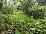 Open Land for Sale 2.5 katha or 40.625 Satak with 8 feet road.
