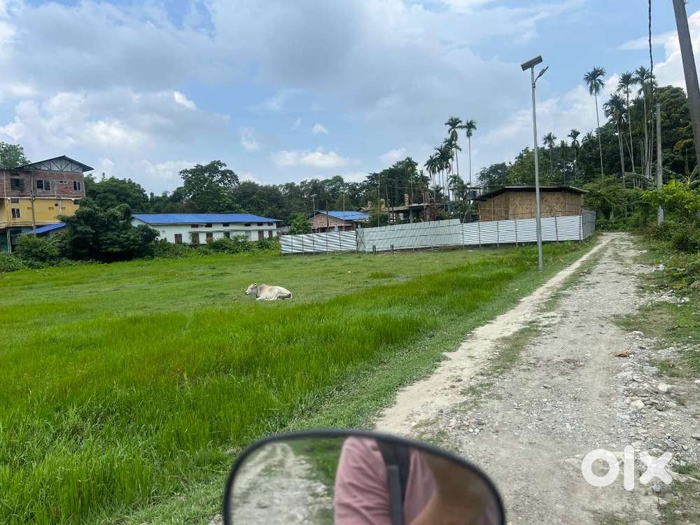 Land for Lease in Tangla Town