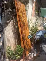 Plywood Doors