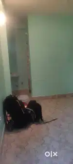 Bachelor allowed 2 staying one roommate needed