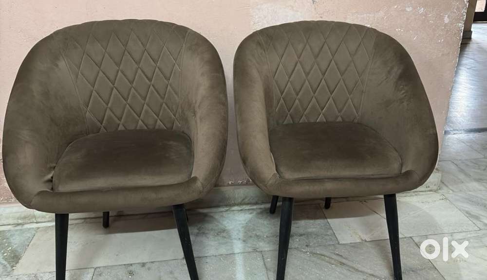 Two cushioned chairs