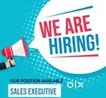 Sales Executive