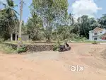 House plot 12 cent near Kuruppumthara 1.35 lakh/cent