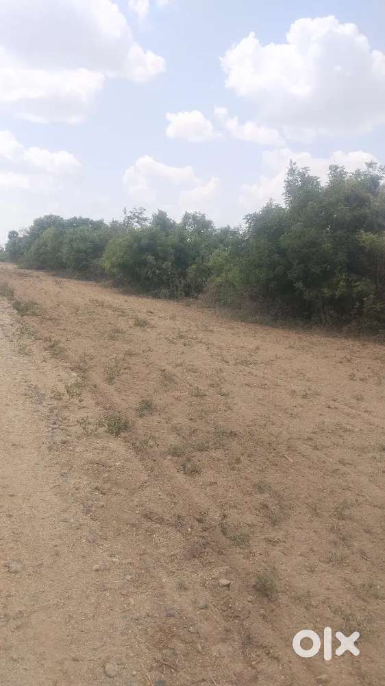 பத்திரப்பதிவு இலவசம்