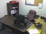 Female Assistant for back office