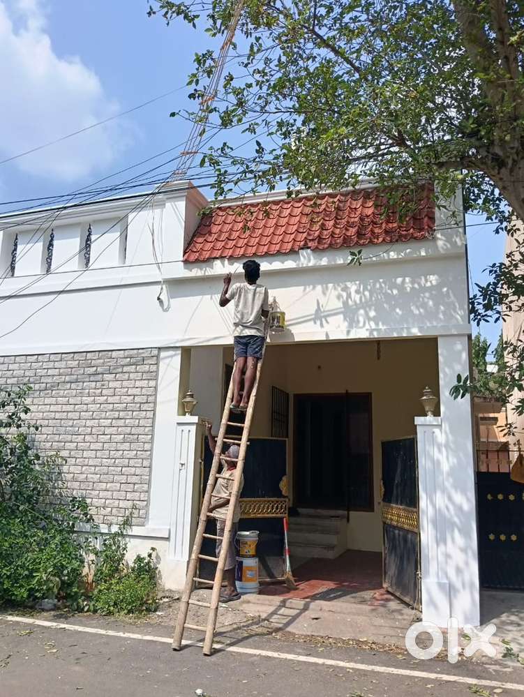 Individual house for rent (available only today  )