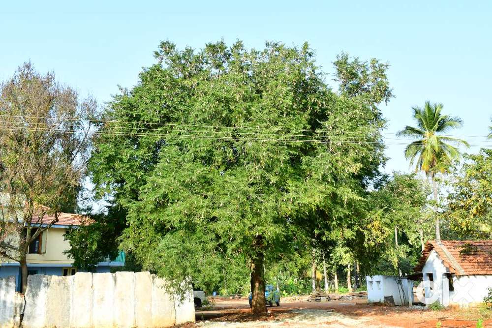 Managed Farmland with Weekend Home good returns at gouribidnur highway