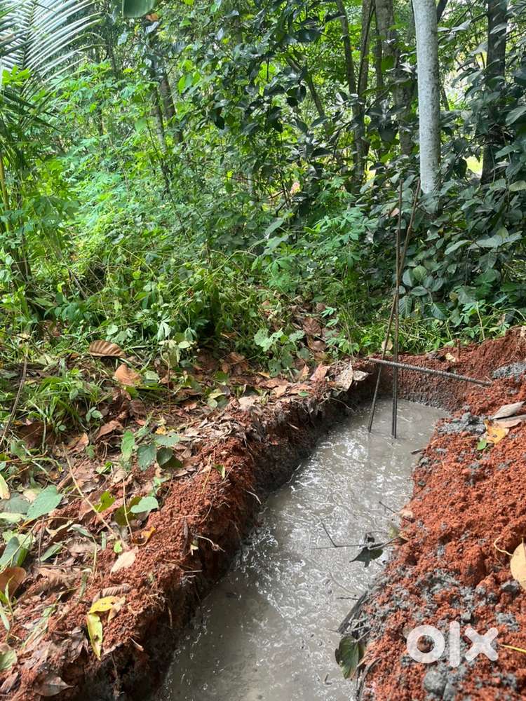 Peace full property located near pond and nature. 50 cent