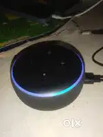 Echo dot alexa