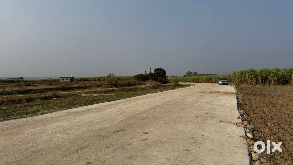 Plots near open University Uttrakhand