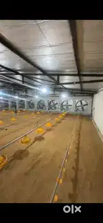 Boiler automatic farm ke kye labour chaiye
