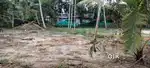മരുത്തോർവട്ടം  10 സെന്റ് സ്ഥലം വിൽപ്പനക്ക് 2 ലക്ഷം രൂപ ചോദിക്കുന്നു