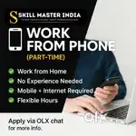 Work from home job