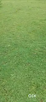 Pallikaranai 10000 sf land for rent or lease
