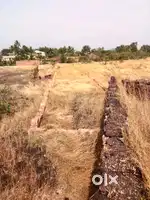 1,50,000 par guntha..Devgad highway..