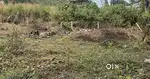 Industrial plot for sale in verna