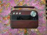 Saregama Carvaan Hindi - Music Player