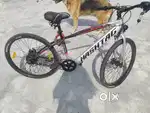 Electric cycle