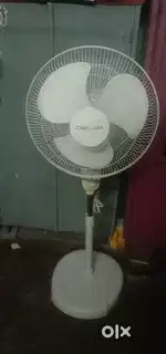 Crompton standing fan