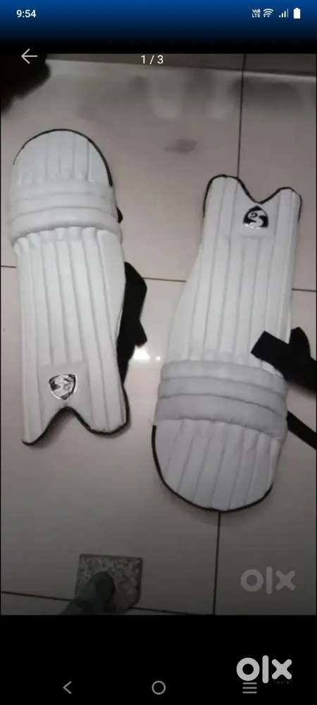 Cricket glubs and leg pad
