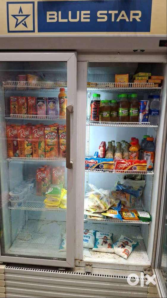 Blue Star Visicooler Double Door Display Fridge – Excellent Cooling