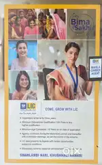 Insurance advisor/agent