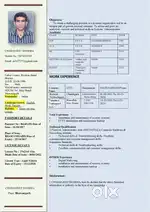 I am looking for a job in