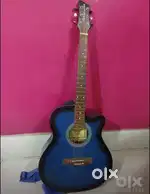 Premium FLAMINGO GUITAR