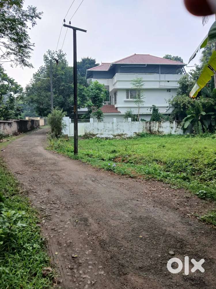 Aluva  uc.college  housepolot 12 cent  for sael