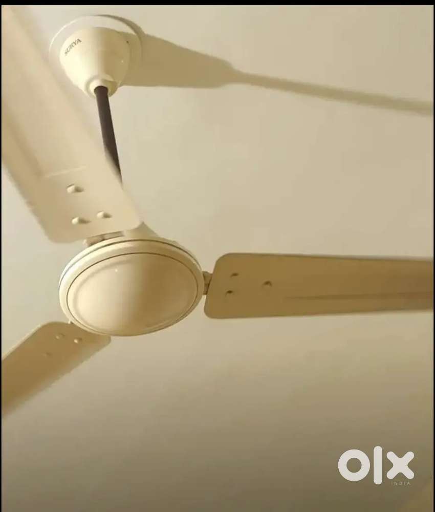 Surya Ceiling Fan