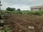 3.5 cents land