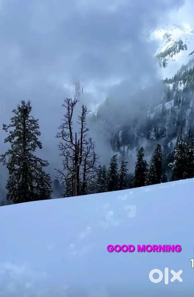 കാർ വർക്ഷോപ്പിലേക് പാച്ച് വർക്കേഴ്സ്, കട്ടപ്പന