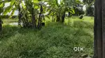 Grasscutting