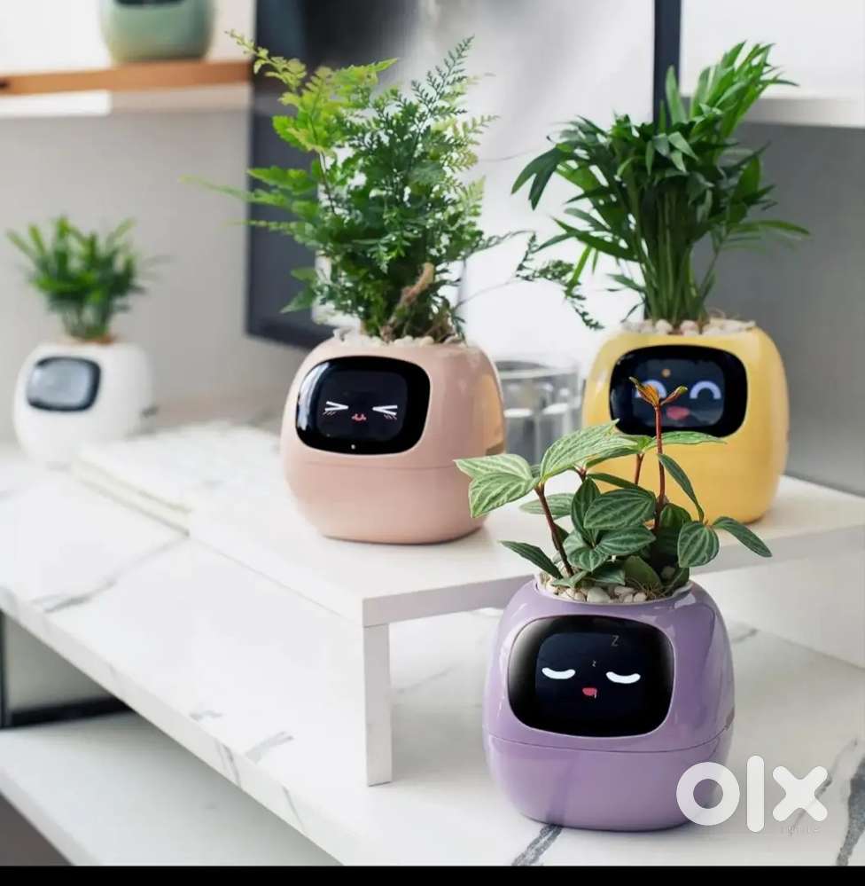 Ai plant pot