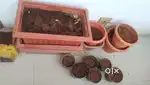 14 good condition flower pots with mud for sale