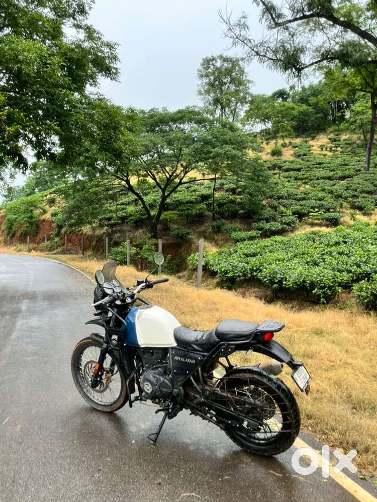 Himalayan 411 read description